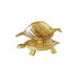 Brass Decorative Tortoise Deepak 0.19kg